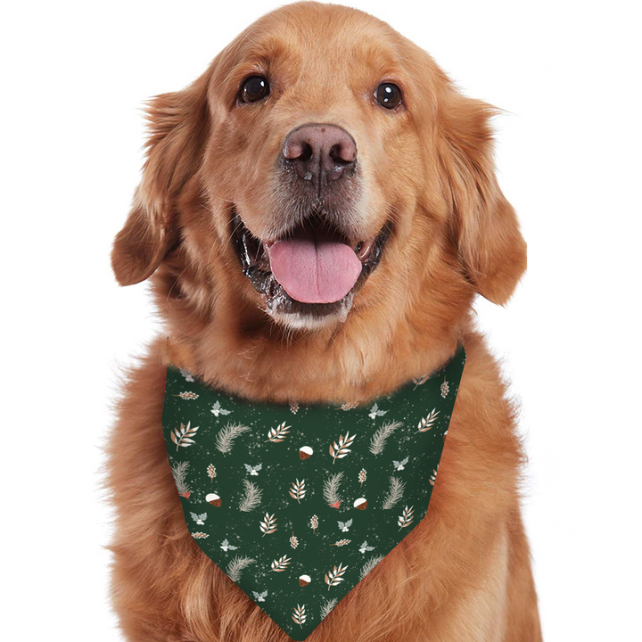 Green Christmas Tree Fmalily Matching Pajamas (with Pet's dog clothes)